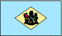 Delaware State Flag