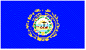 New Hampshire State Flag