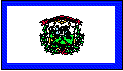 West Virginia State Flag