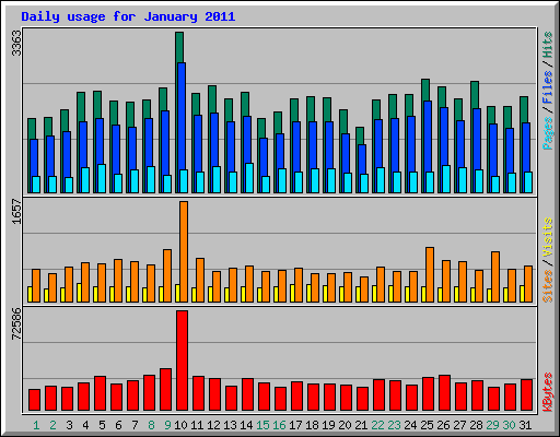 Daily usage for January 2011