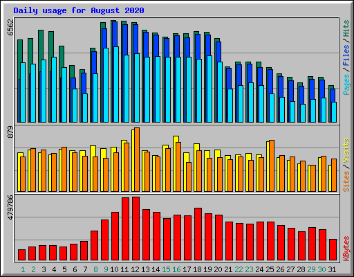 Daily usage for August 2020