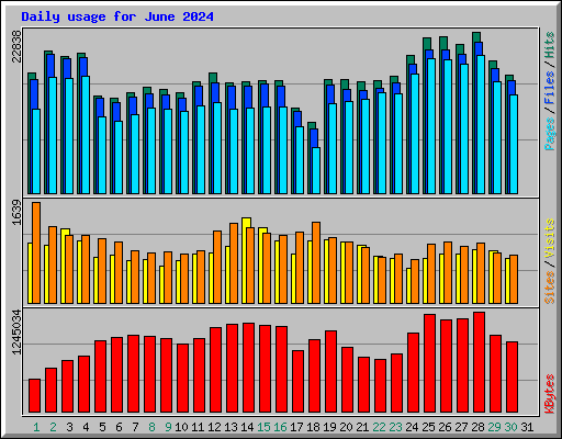 Daily usage for June 2024