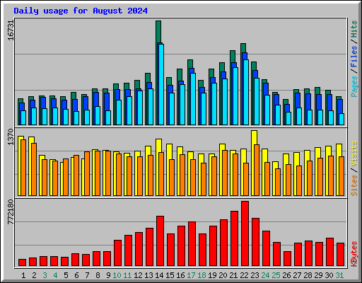 Daily usage for August 2024
