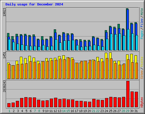 Daily usage for December 2024
