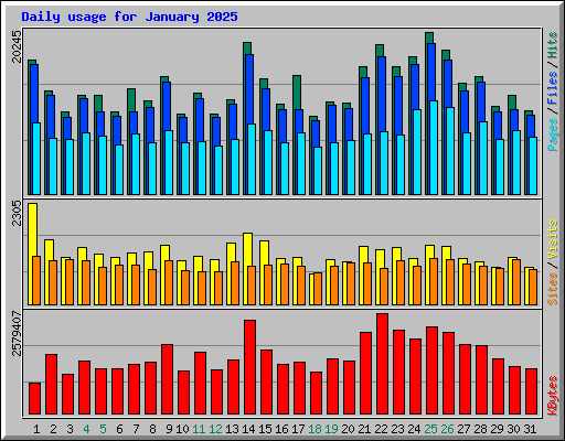 Daily usage for January 2025