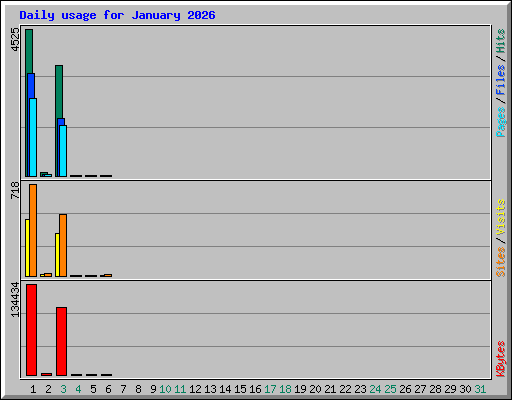 Daily usage for January 2026