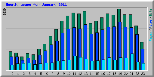 Hourly usage for January 2011