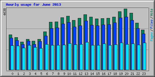 Hourly usage for June 2013