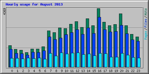 Hourly usage for August 2013
