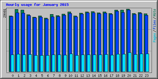 Hourly usage for January 2015