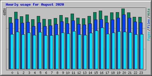 Hourly usage for August 2020