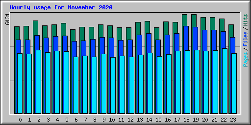 Hourly usage for November 2020