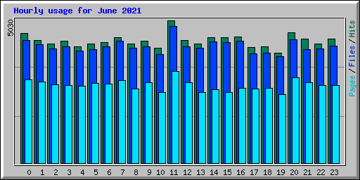 Hourly usage for June 2021