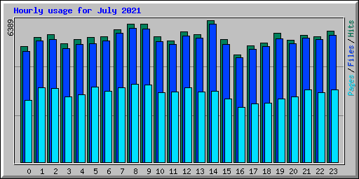 Hourly usage for July 2021