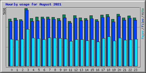 Hourly usage for August 2021
