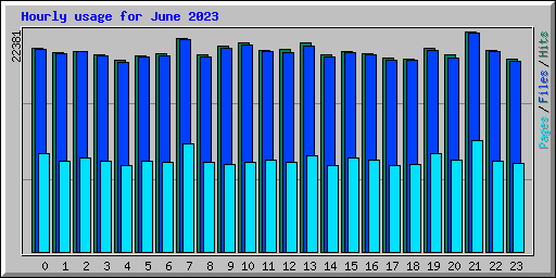 Hourly usage for June 2023