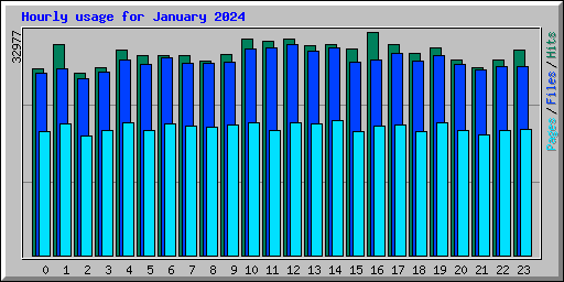 Hourly usage for January 2024