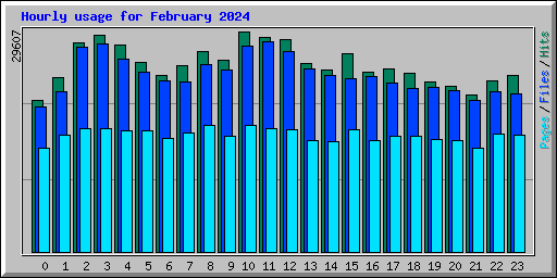 Hourly usage for February 2024