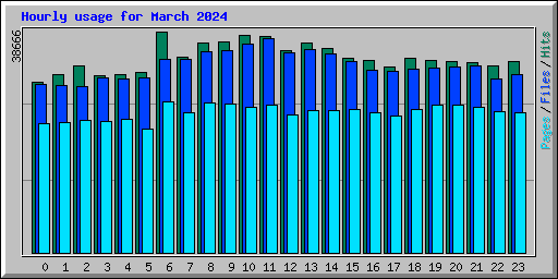Hourly usage for March 2024