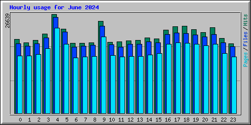 Hourly usage for June 2024