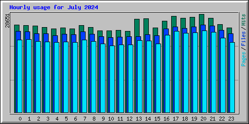 Hourly usage for July 2024
