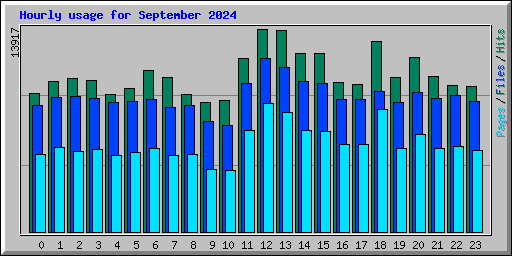 Hourly usage for September 2024