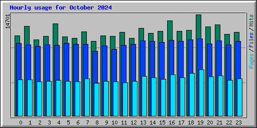 Hourly usage for October 2024