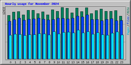 Hourly usage for November 2024