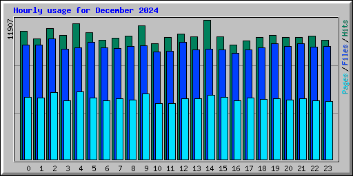 Hourly usage for December 2024