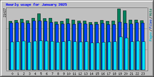 Hourly usage for January 2025