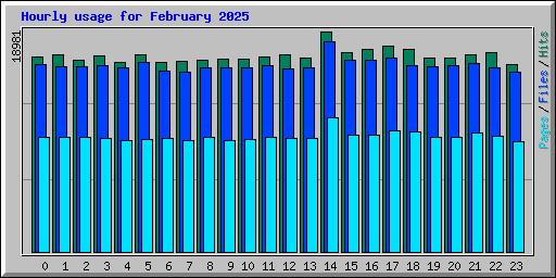 Hourly usage for February 2025