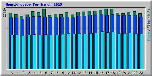 Hourly usage for March 2025