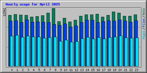 Hourly usage for April 2025