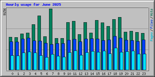 Hourly usage for June 2025