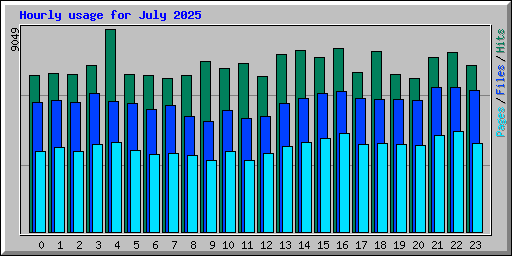 Hourly usage for July 2025