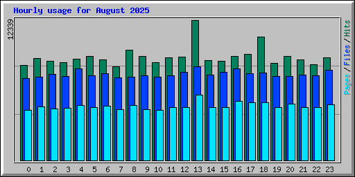 Hourly usage for August 2025