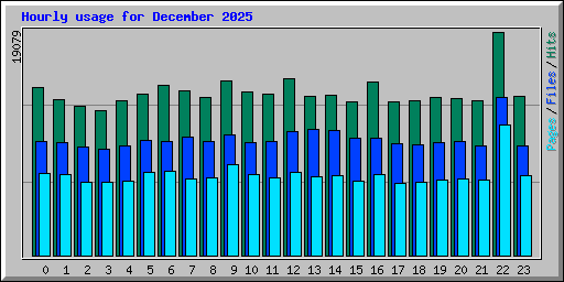 Hourly usage for December 2025