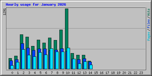 Hourly usage for January 2026